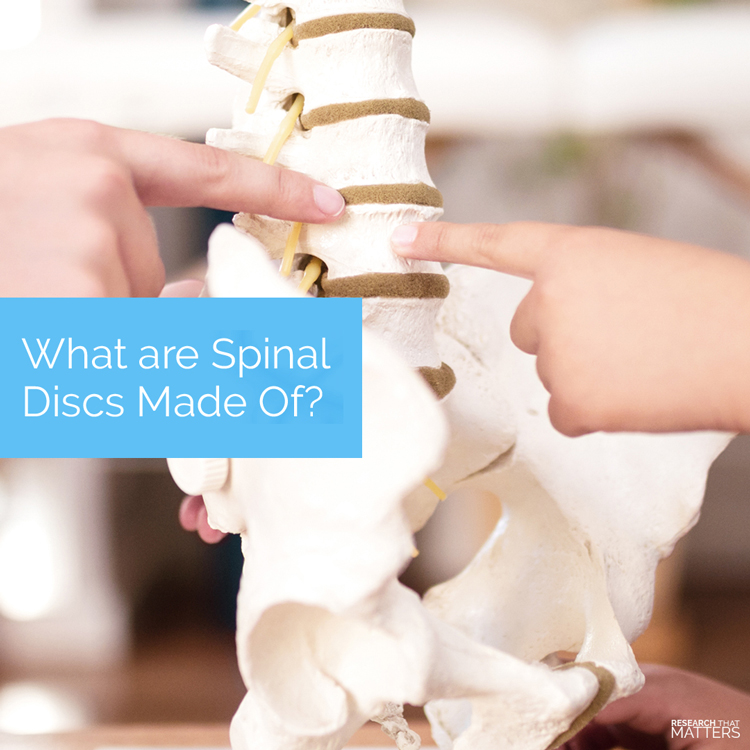 Chiropractic Coral Springs FL Spinal Disc Pain