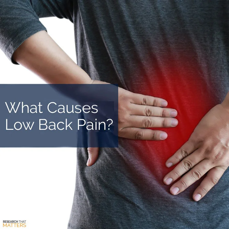 What Causes Low Back Pain?
