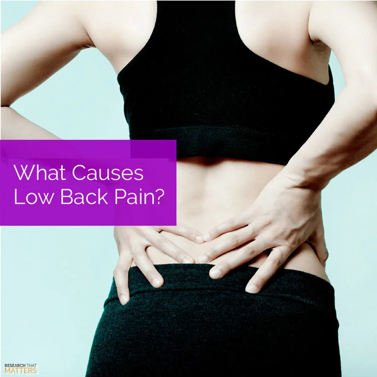 What Causes Low Back Pain? What Causes Low Back Pain?